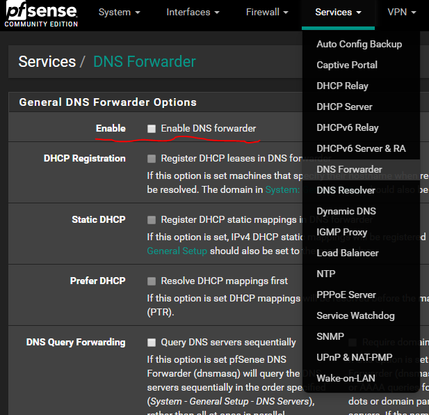 Cloudflare and Pfsense > Services > DNS Forwarder